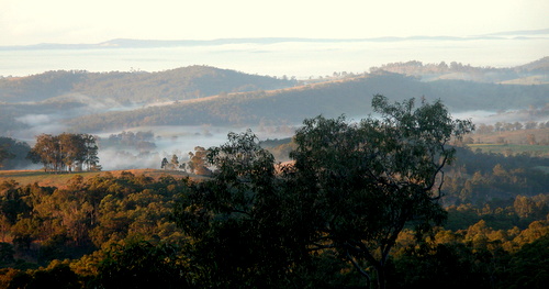 sydney escursioni 