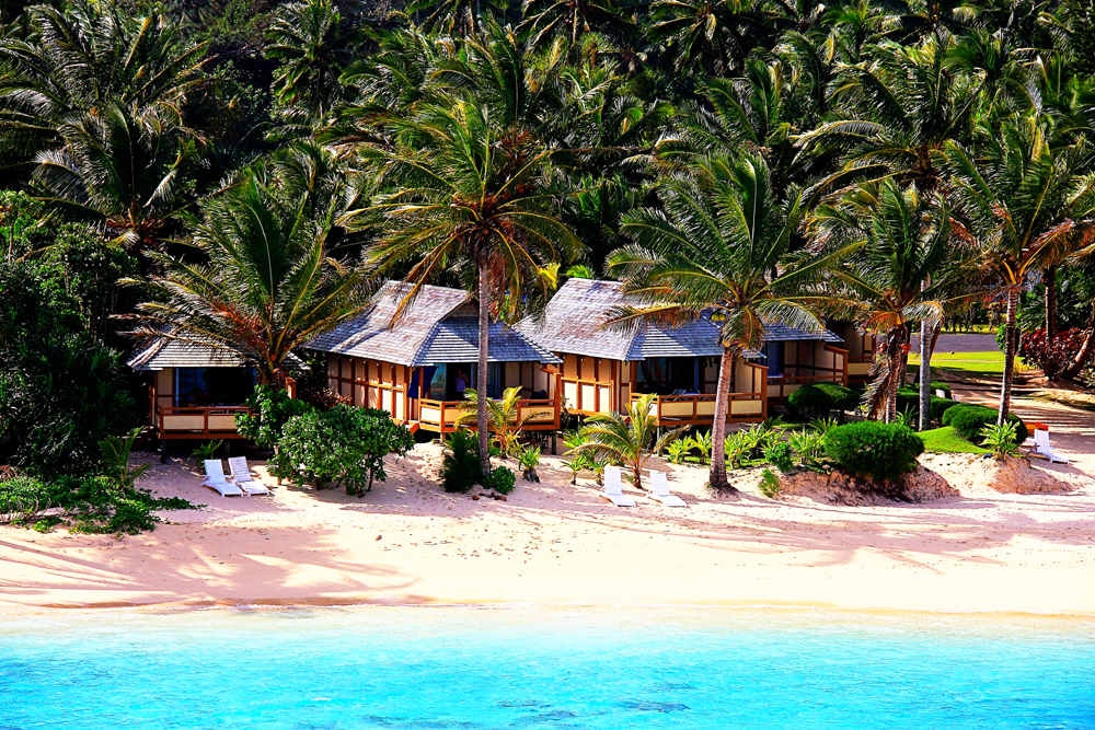 palm grove rarotonga