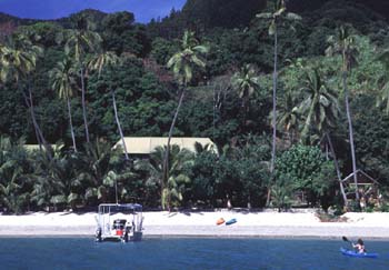 dive kadavu