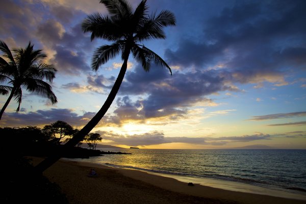 offerte hawaii