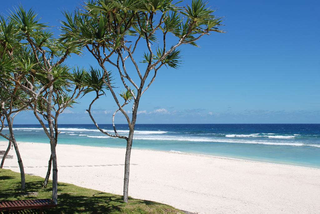 tamanu on the beach vanuatu 