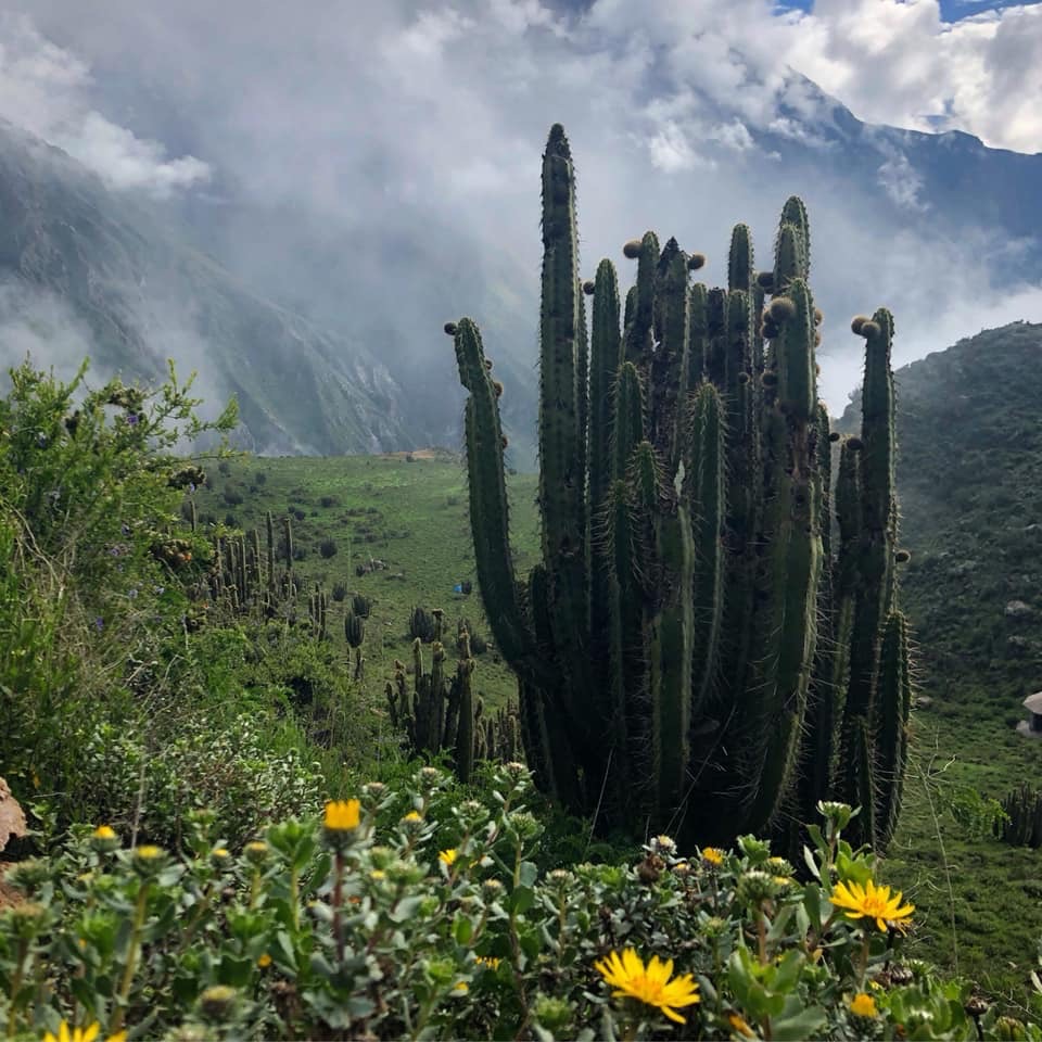 racconto di viaggio peru