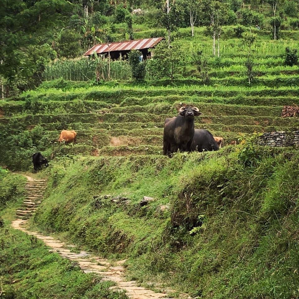 Nepal Fiji Time Tour Operator