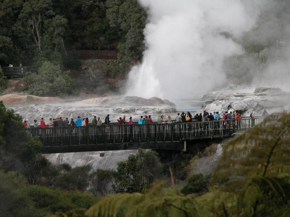 NUOVA ZELANDA CONSULENTI DI VIAGGIO 