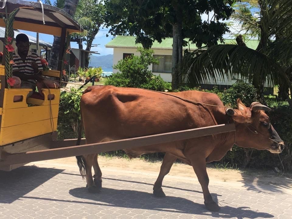 Seychelles Fiji Time Tour Operator