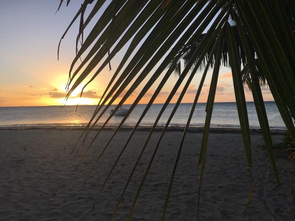 racconto di viaggio tonga 