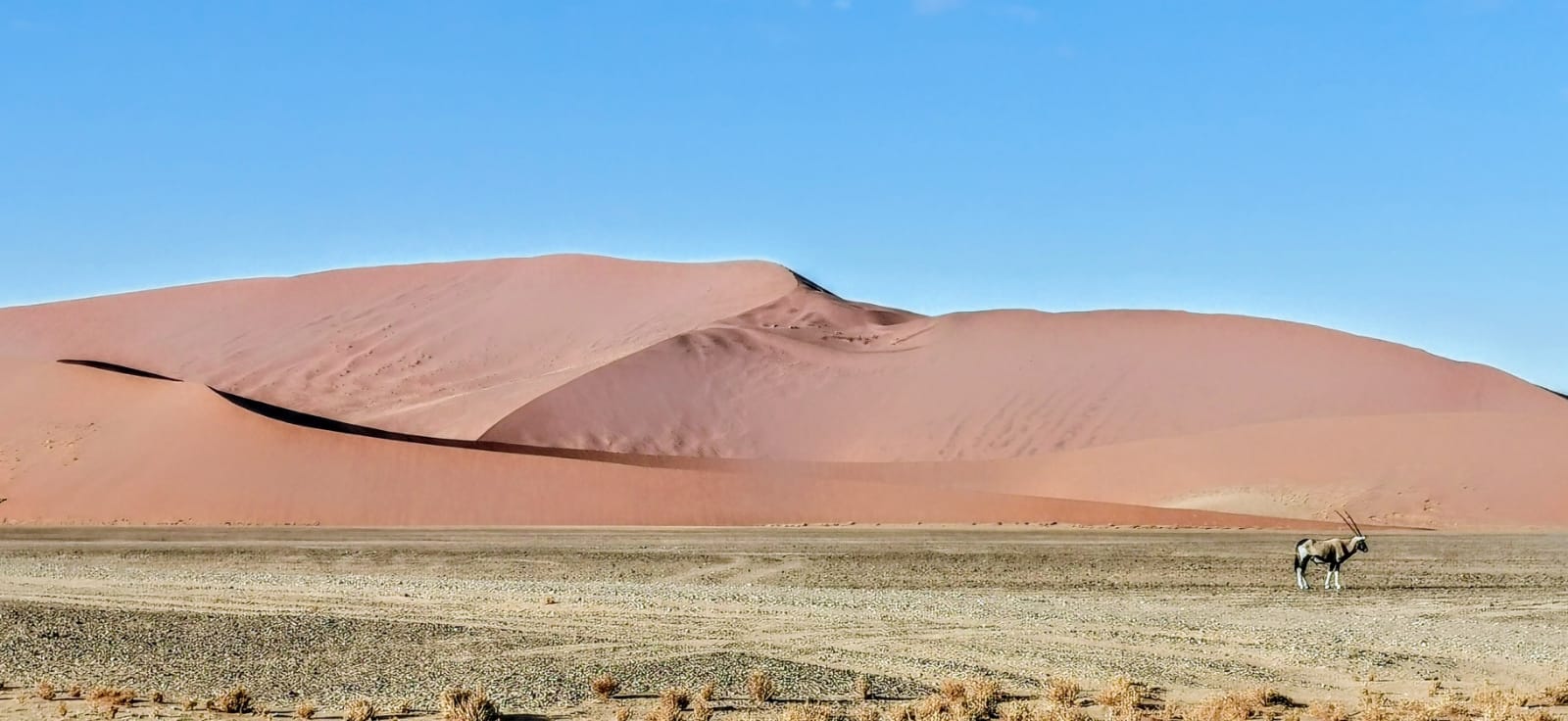 namibia 